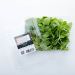 Citronmelisse, Legro, 75 g.