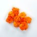 Tagetes orange, Madblomsten, 1 bk (nonfood) 