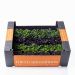 Cress, six teen mix, 16 bk, 1,5 kg