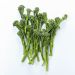 Broccoli asparges, udenlandske, 200 g