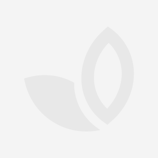 Hasselnøddecreme, 50%, 1 kg, Pariani